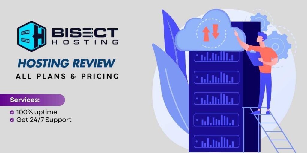 Bisect Hosting Review Features and Reliability