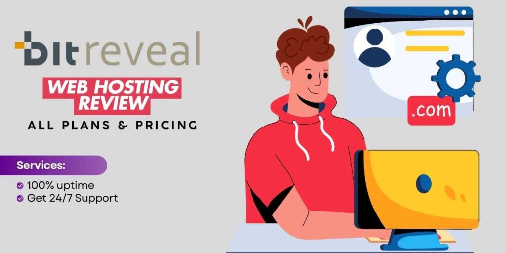 BitReveal Web Hosting Review Pricing and Support